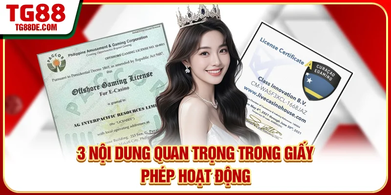 3 Nội dung quan trọng trong giấy phép hoạt động