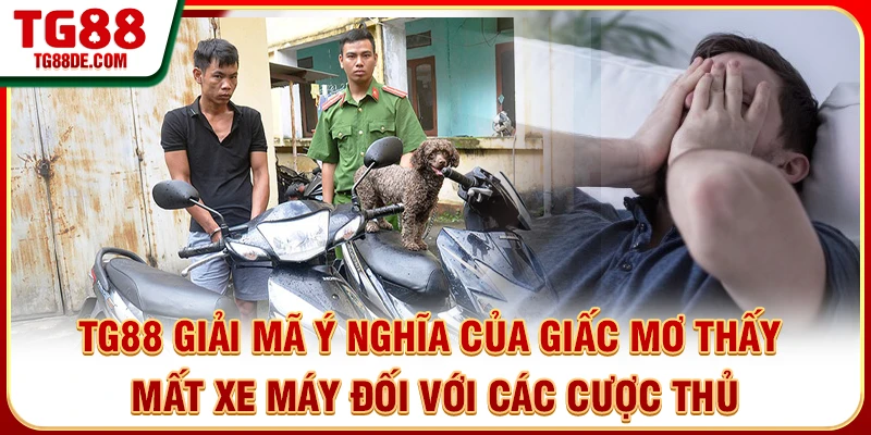 TG88 giải mã ý nghĩa của giấc mơ thấy mất xe máy đối với các cược thủ