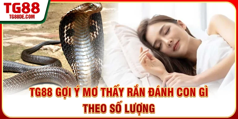 TG88 gợi ý mơ thấy rắn đánh con gì theo số lượng