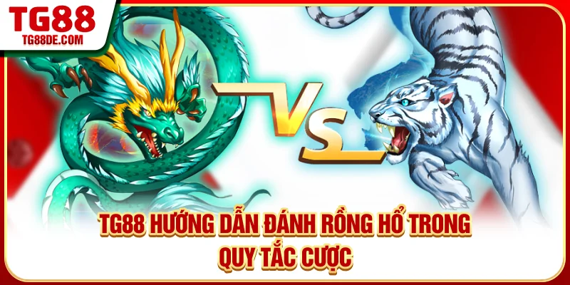TG88 hướng dẫn đánh Rồng Hổ trong quy tắc cược 